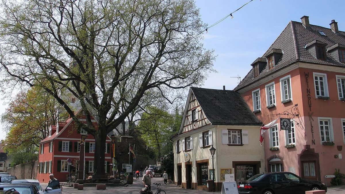 Stadtansicht von Nierstein